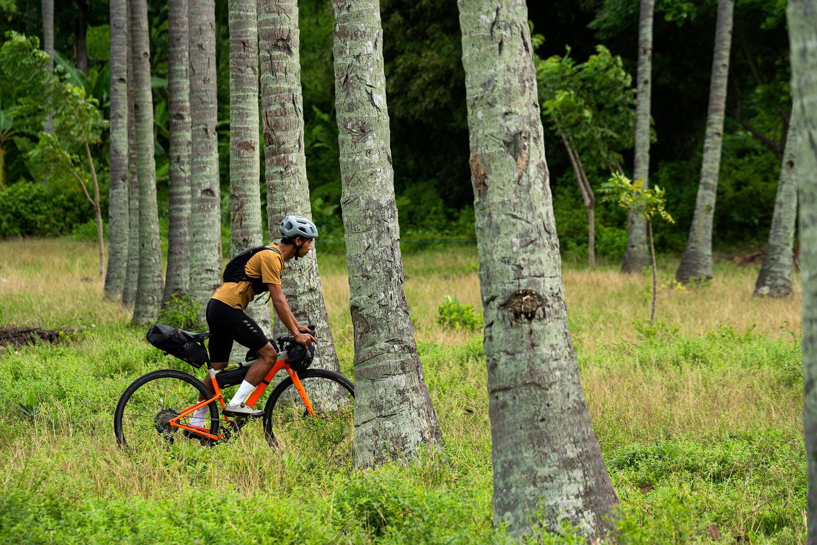 2026 apidura expedition series bikepacking frame bags on a bike being ridden through the forest.