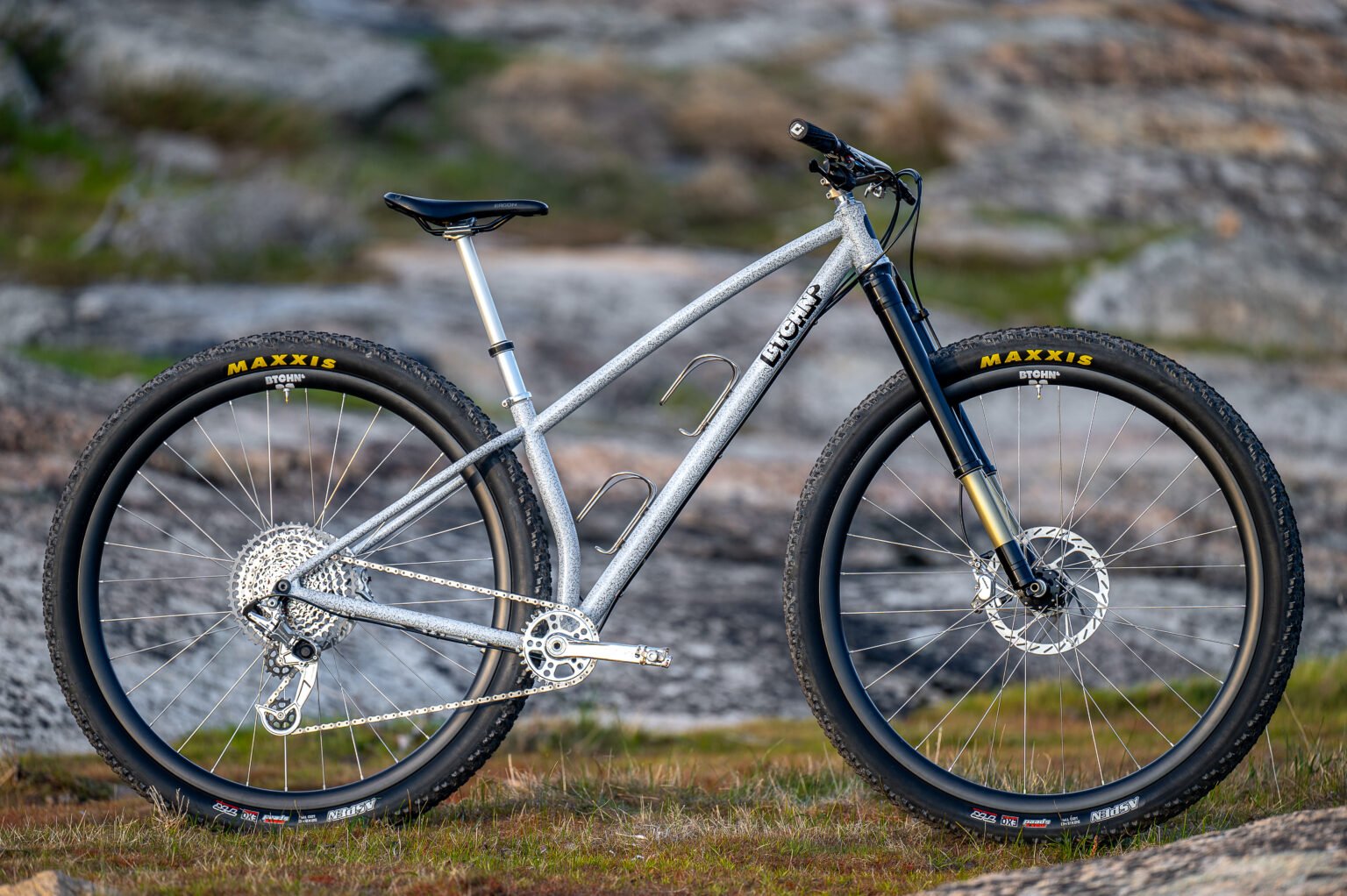 Btchn Bikes 32" Alpina Hardtail mountain bike