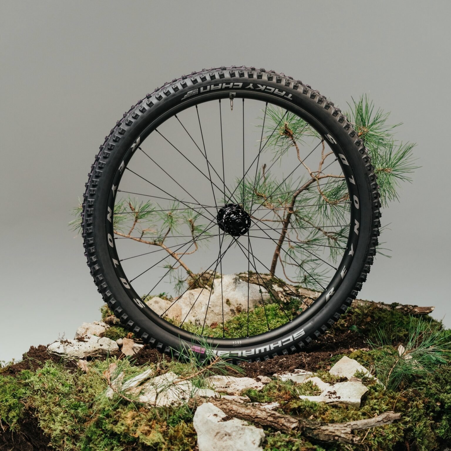 studio image of the Reynolds DH Alloy wheel with a tire on it.
