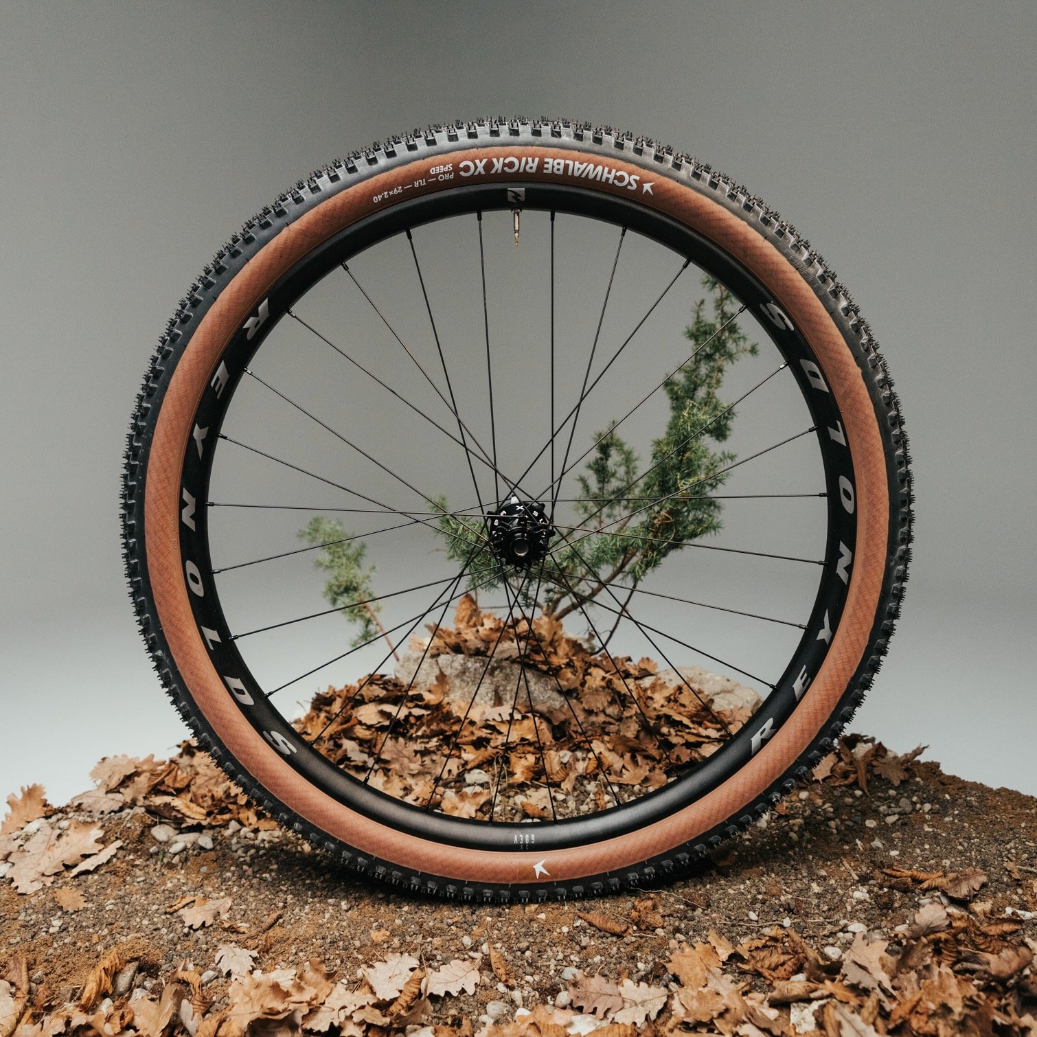 studio image of he Reynolds XC Alloy wheel