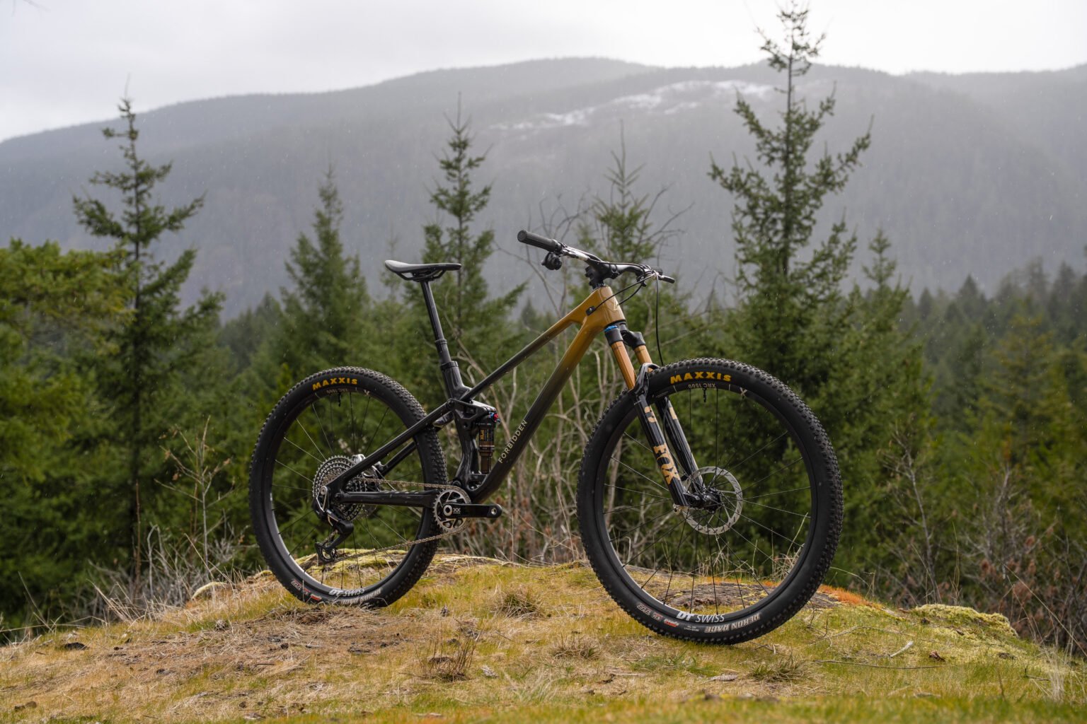 Forbidden's new short-travel trail bike, the Reya