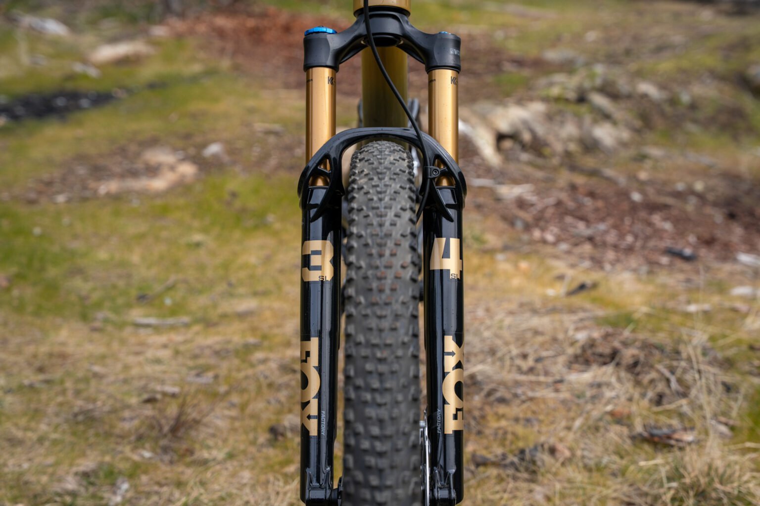 Forbidden's new short-travel trail bike, the Reya