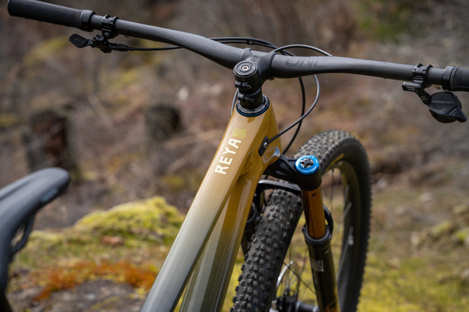 Forbidden's new short-travel trail bike, the Reya