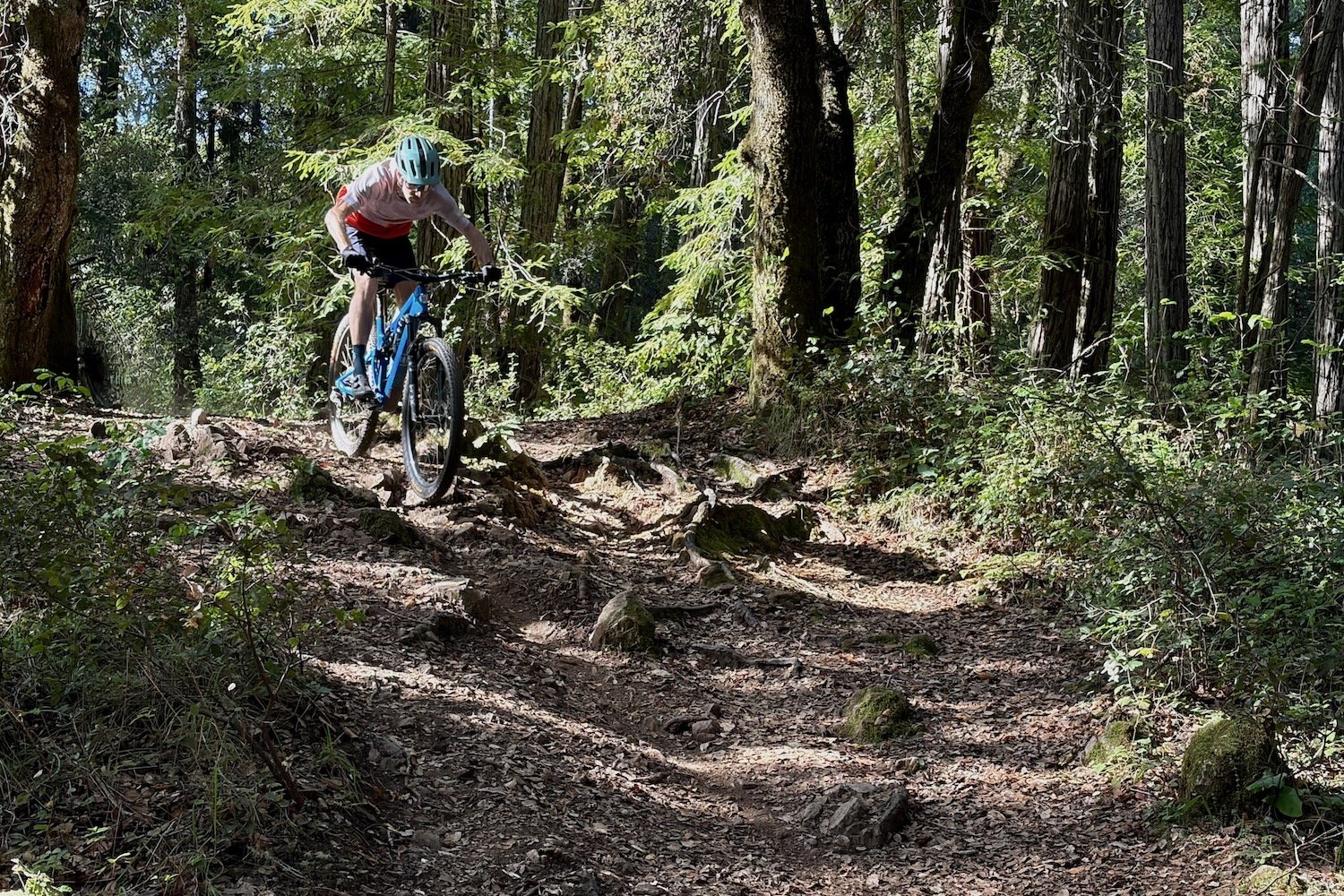 Colin Hughes riding the Ripley SL into a chunky section of a singletrack trail in the forest.