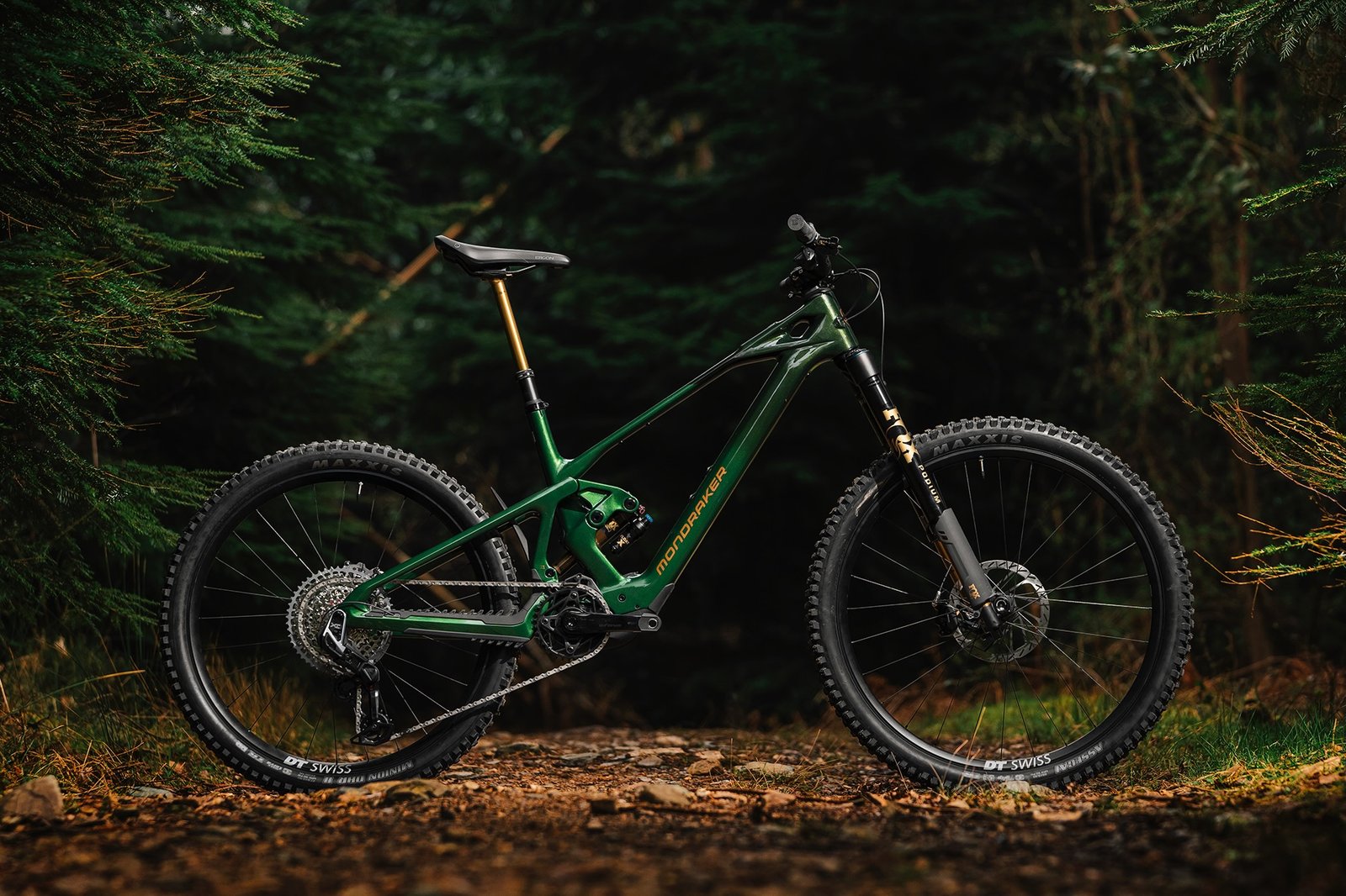 profile shot of the zendit RR S build standing in the forest.