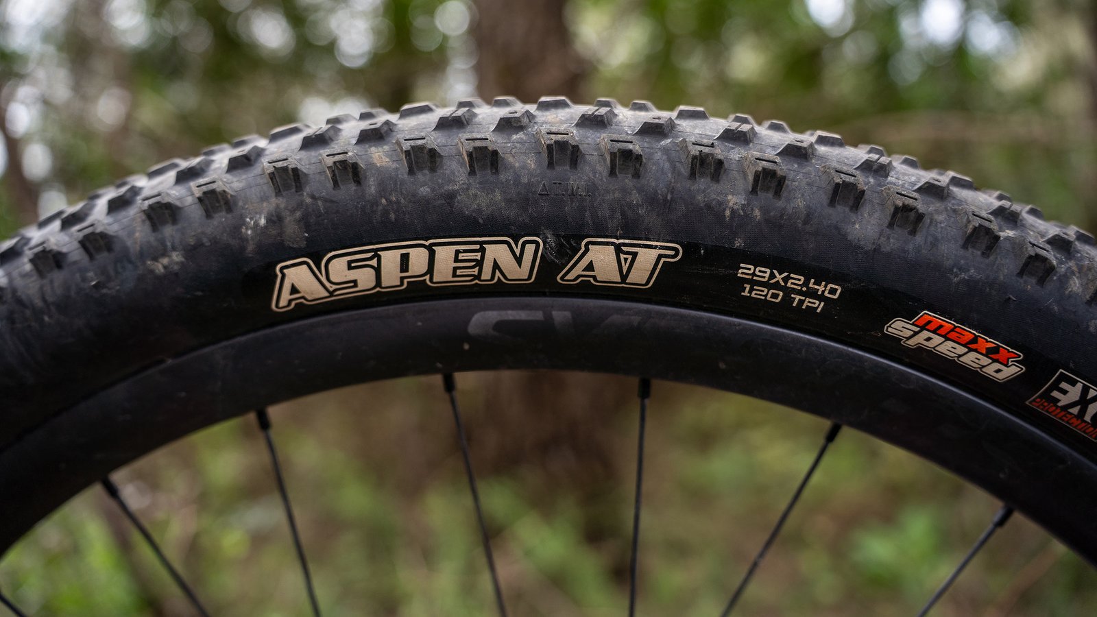 206 Maxxis Aspen AT more capable, knobby XC mountain bike tire: sidewall detail