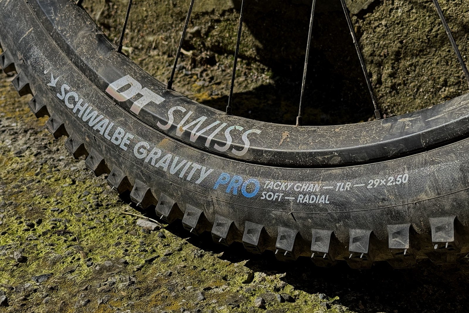 2026 Schwalbe Gravity & Trail Pro mountain bike tires: new Tacky Chan Radial sidewall marking