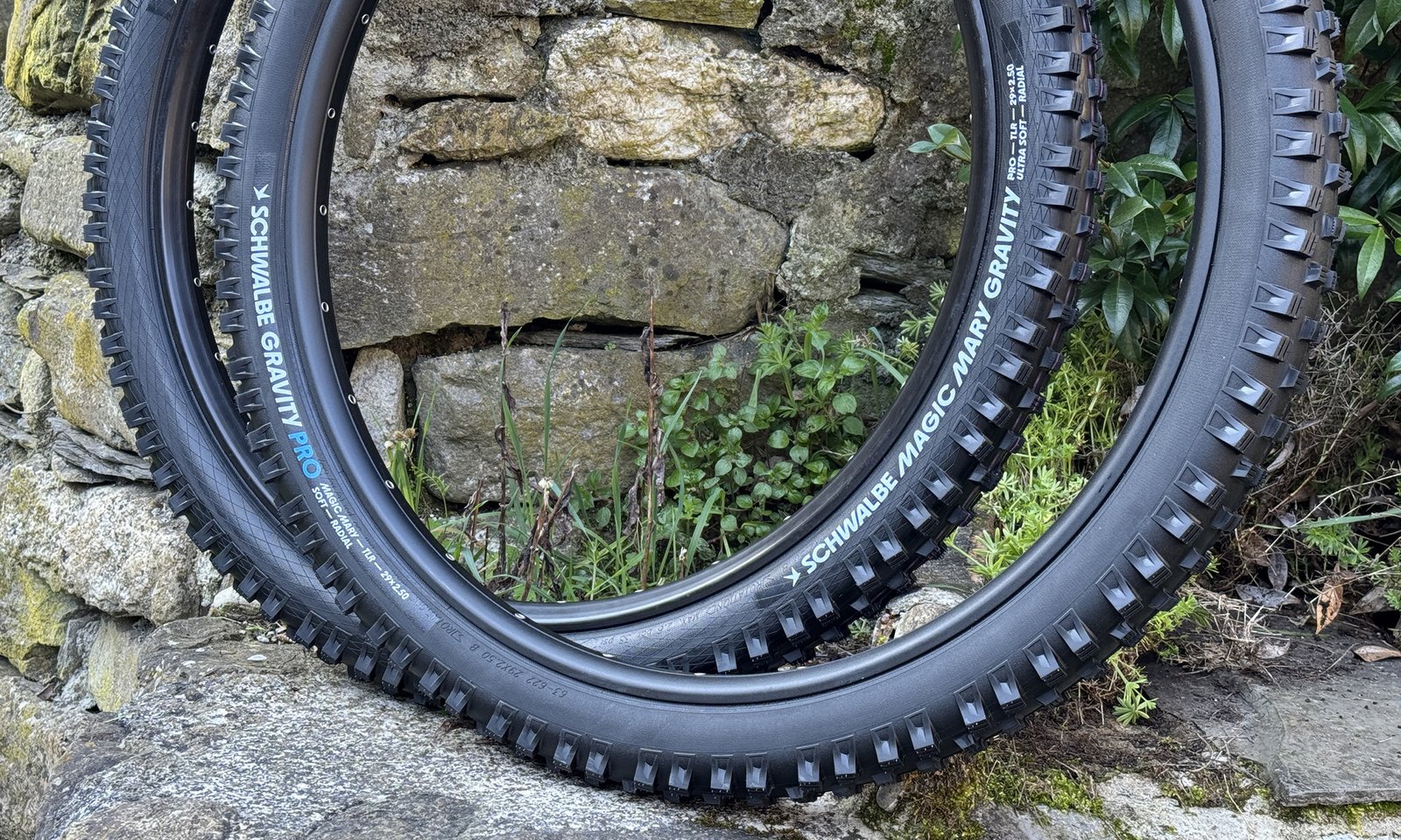 2026 Schwalbe Gravity & Trail Pro mountain bike tires: Magic Mary update