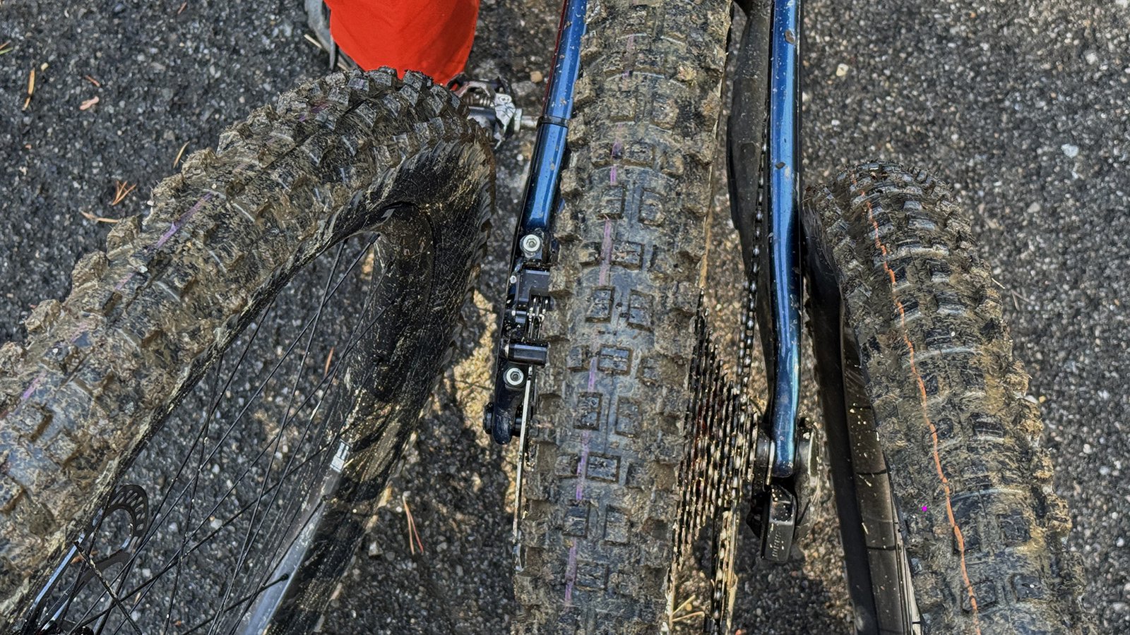 2026 Schwalbe Gravity Trail Pro mountain bike tires redefined: Magic Mary, Albert & Romy