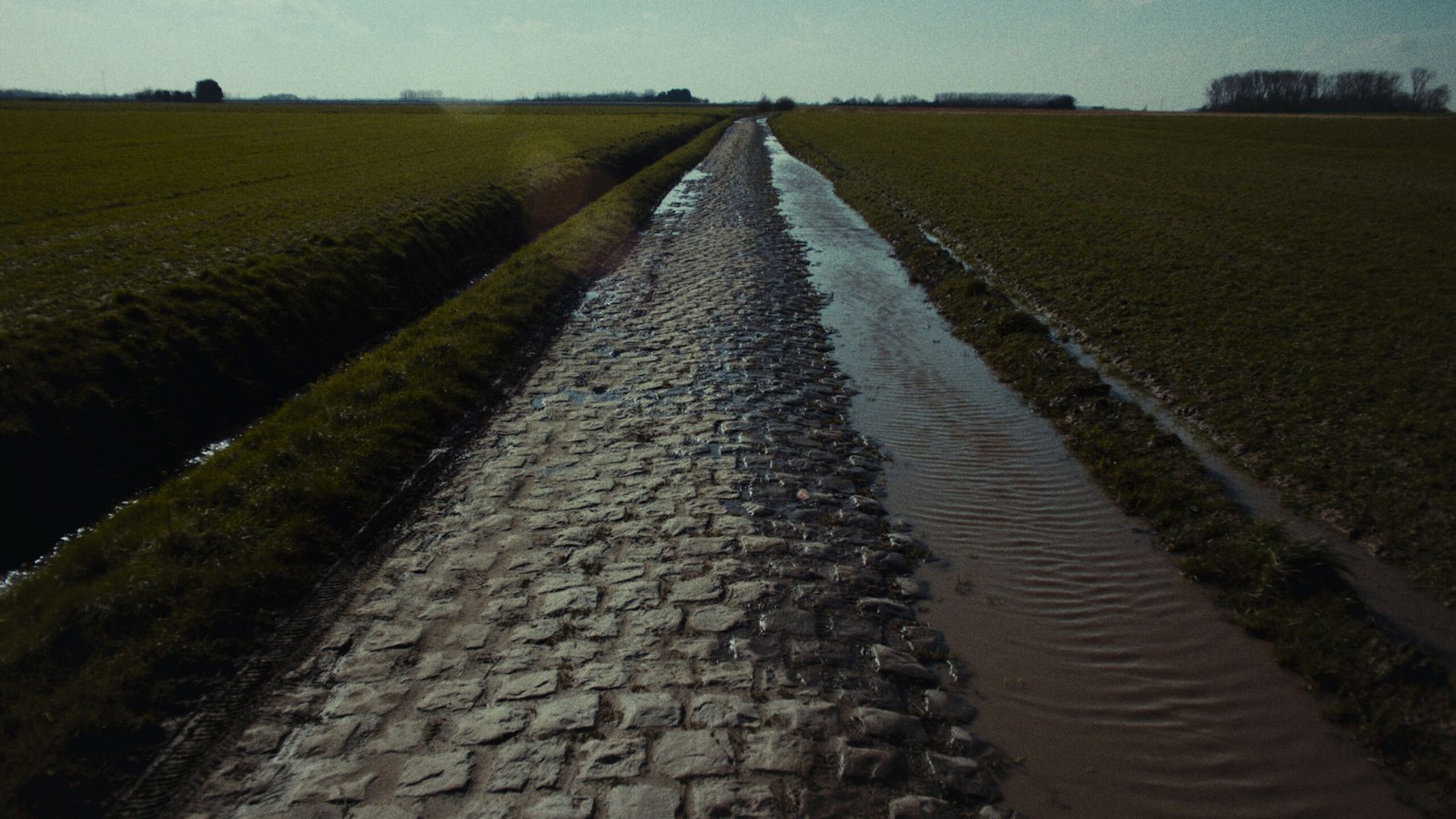 Canyon Endurace CFR cobbles