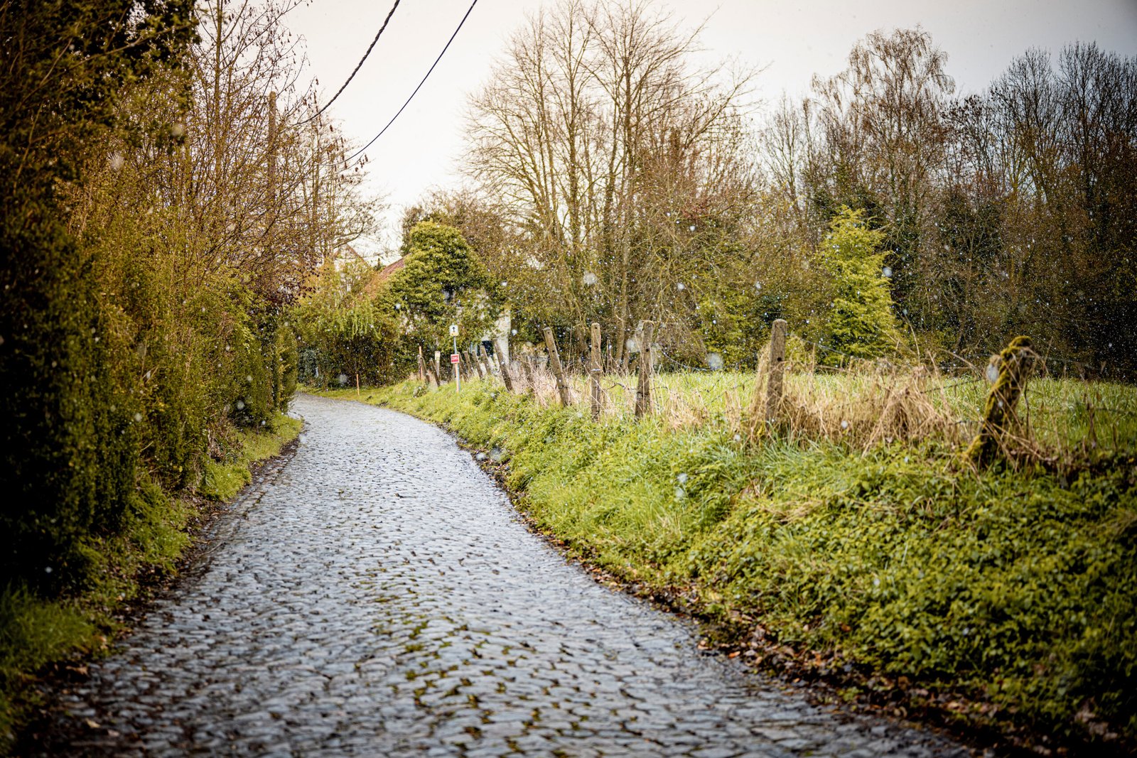Canyon Endurace CFR cobbles Kramon