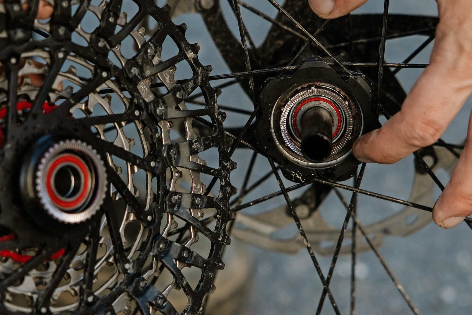 DT Swiss 1500-series carbon mountain bike wheels, 240 DEG hubs get DF anti-kickback inside