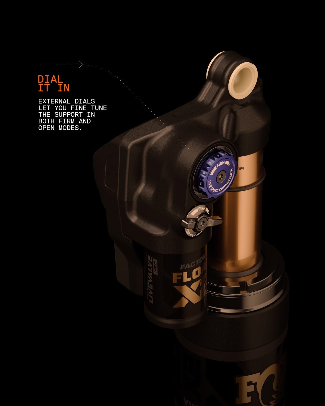 image of the Float X2 Live Valve neo describing the sjudtments