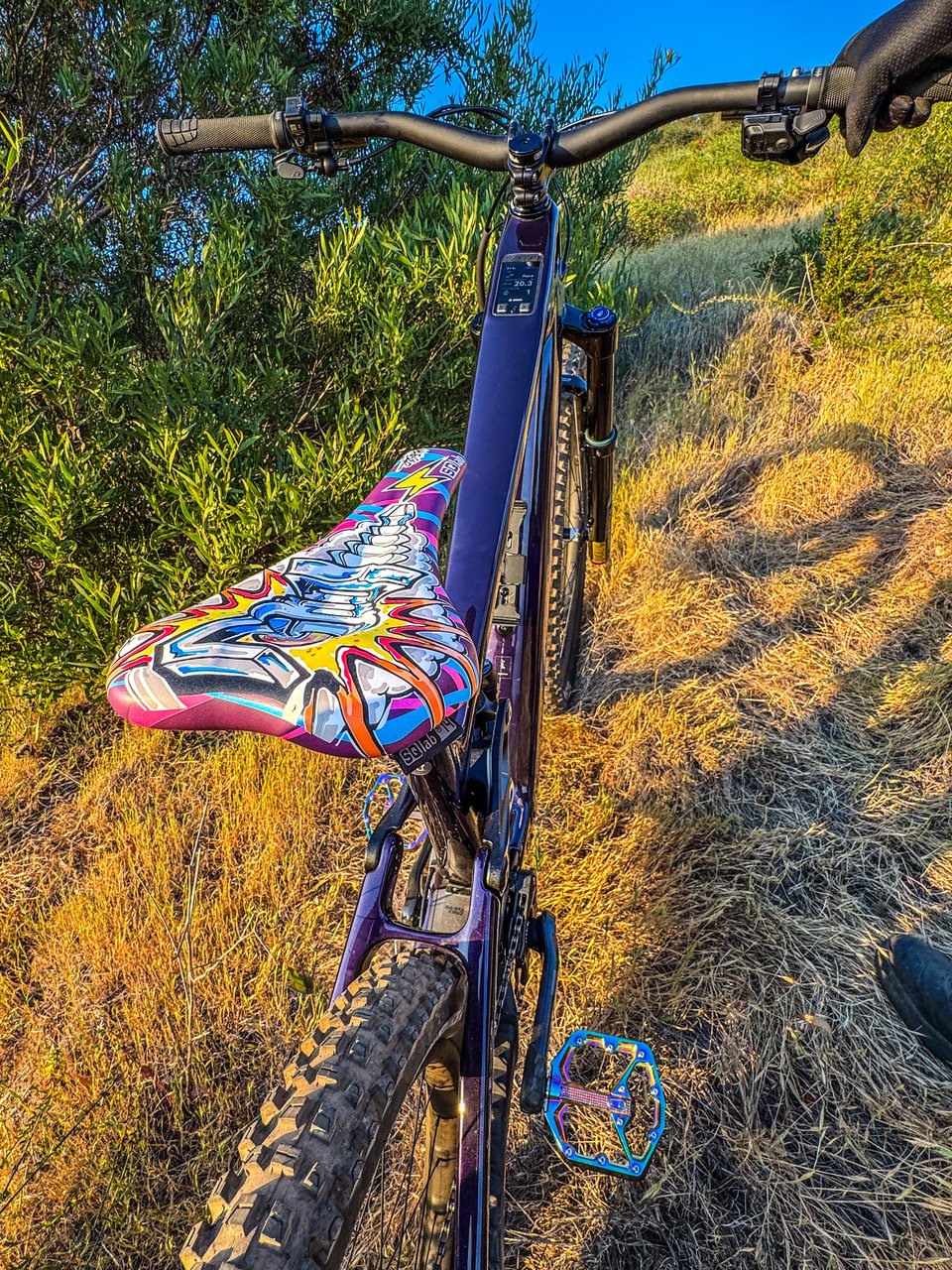 A custom saddle