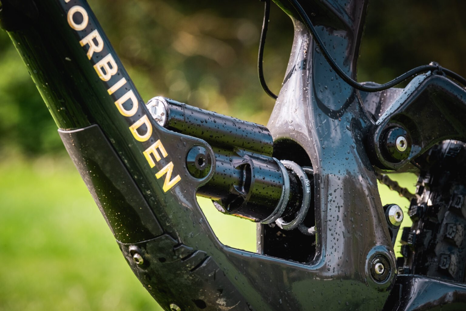 Intend Rover hybrid air/coil shock