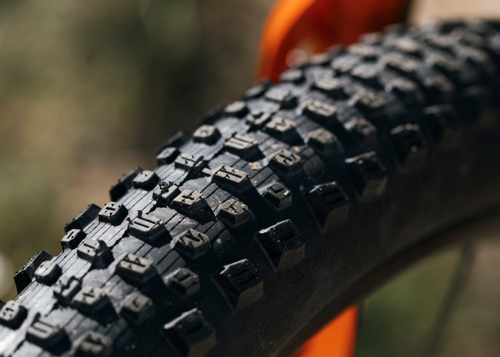 Kenda Tire Dagger_N3A1597