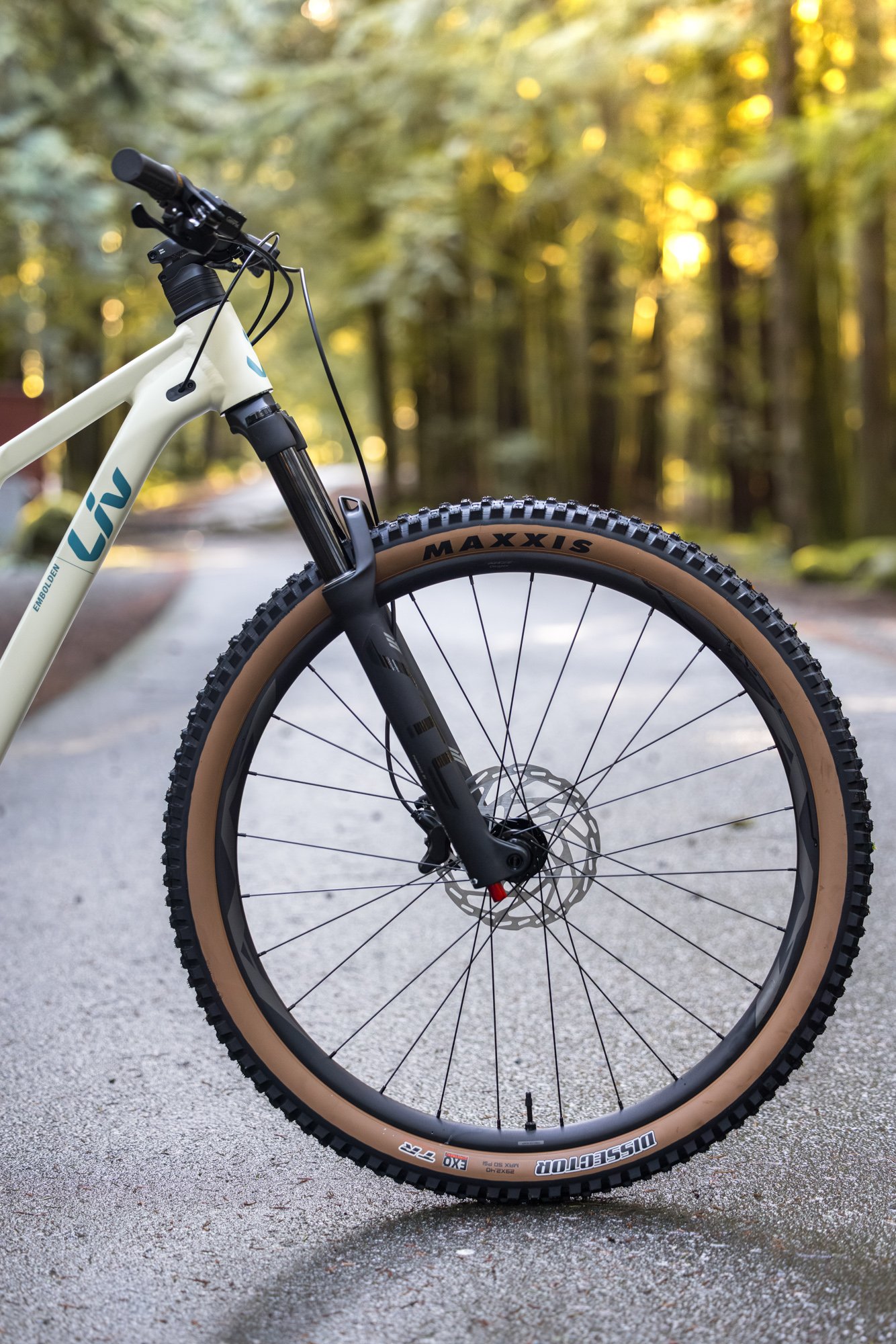 29" front wheel on all Embolden sizes