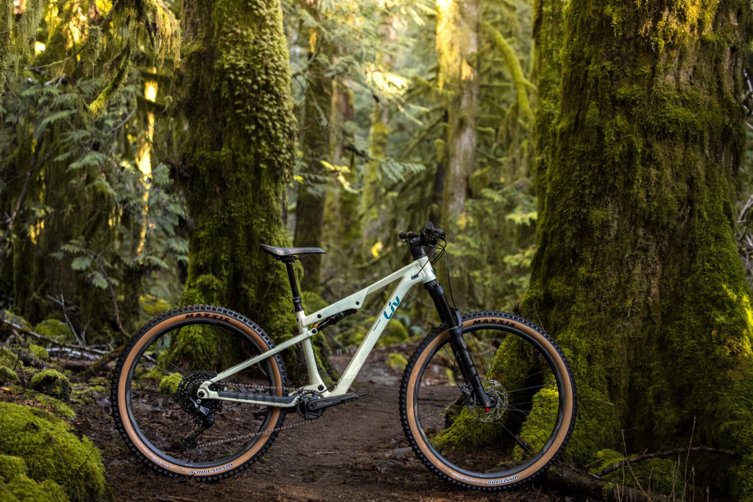 Changes to the new Liv Embolden