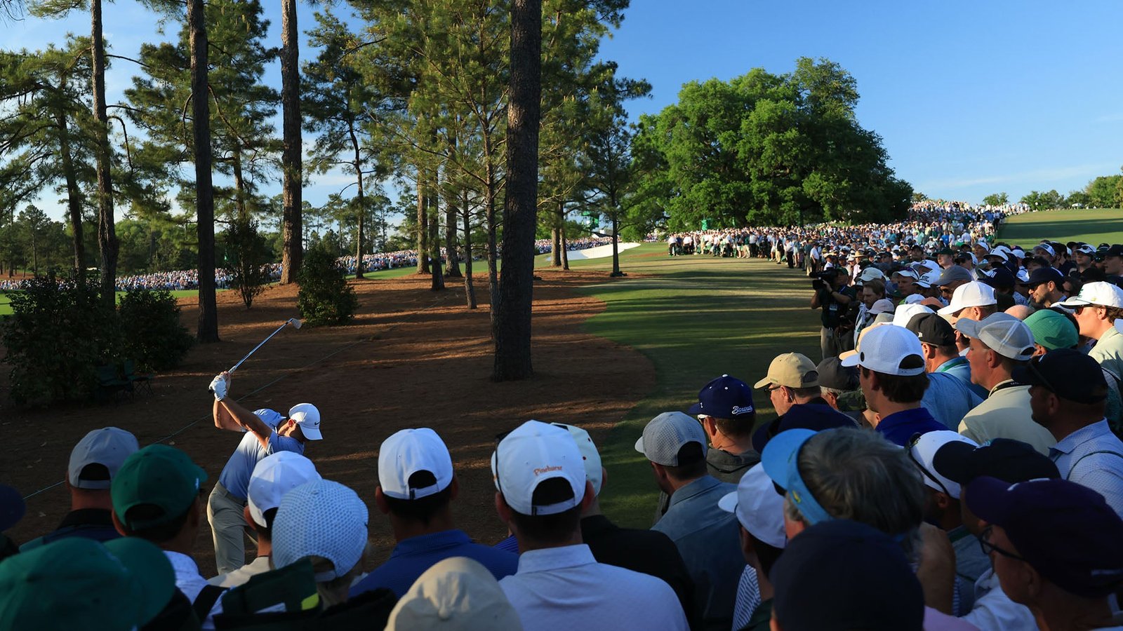 Rory McIlroy swings a club in a wooded area as a large crowd watches, standing closely together under tall pine trees on a sunny day.