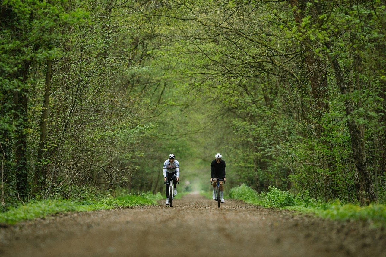 Shimano This is Home Series MvdP grav