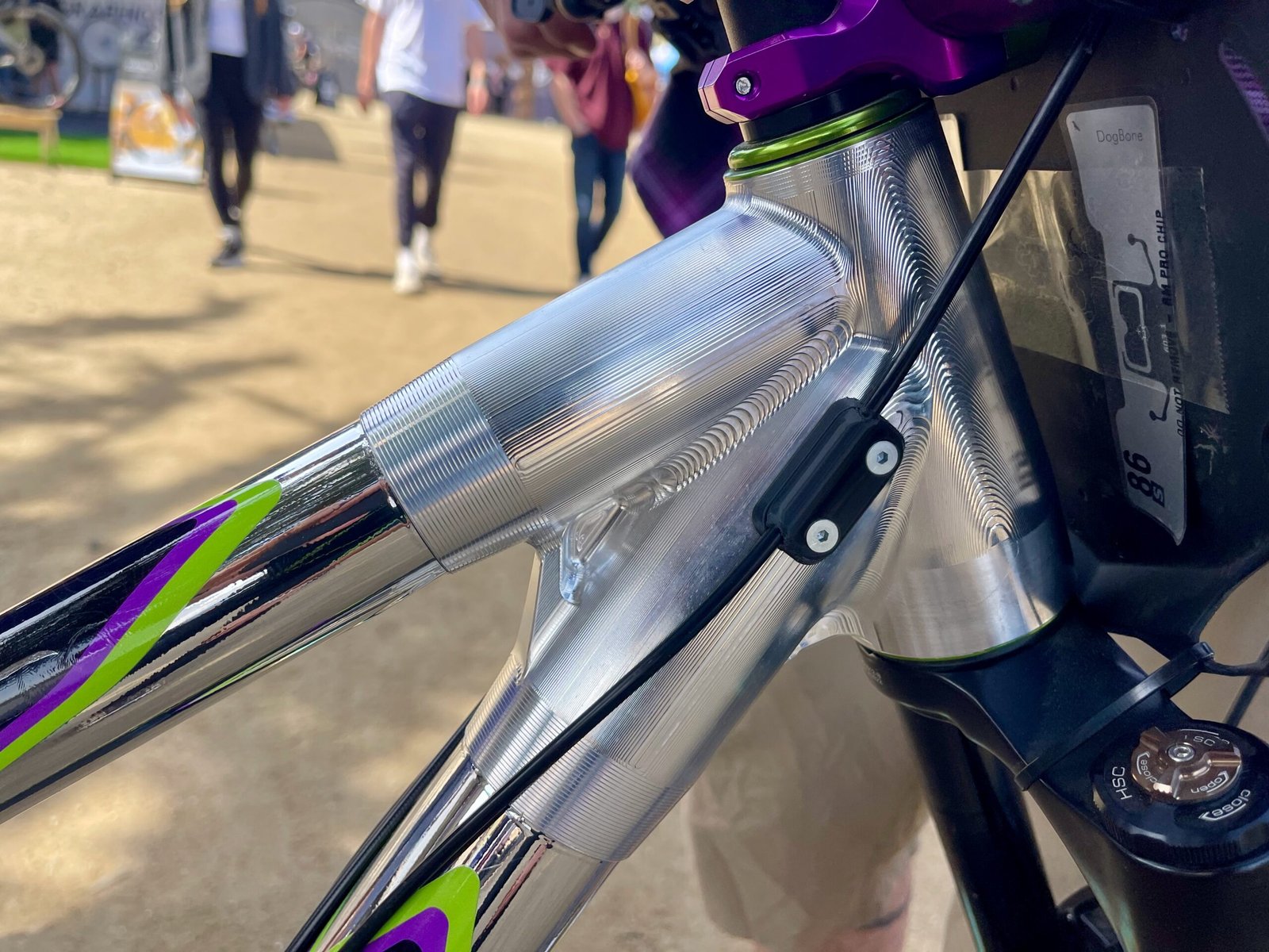 ShredLine Bicycle Co Eden Pinion bike headtube