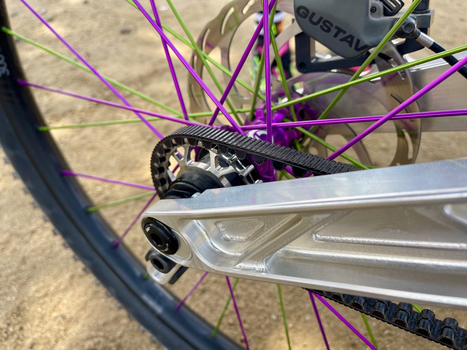 ShredLine Bicycle Co Eden Pinion bike rear