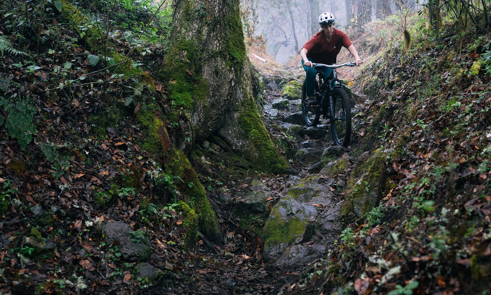 Specialized Grid Gravity Radial mountain bike tires: Butcher & Eliminator only for technical, natural trail riding