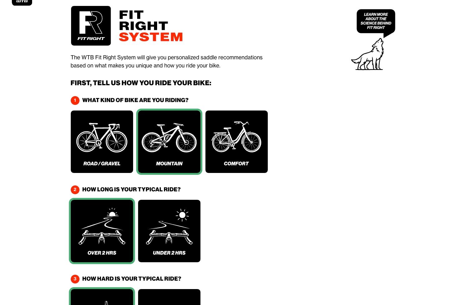 screenshot of the WTB Fit Right page