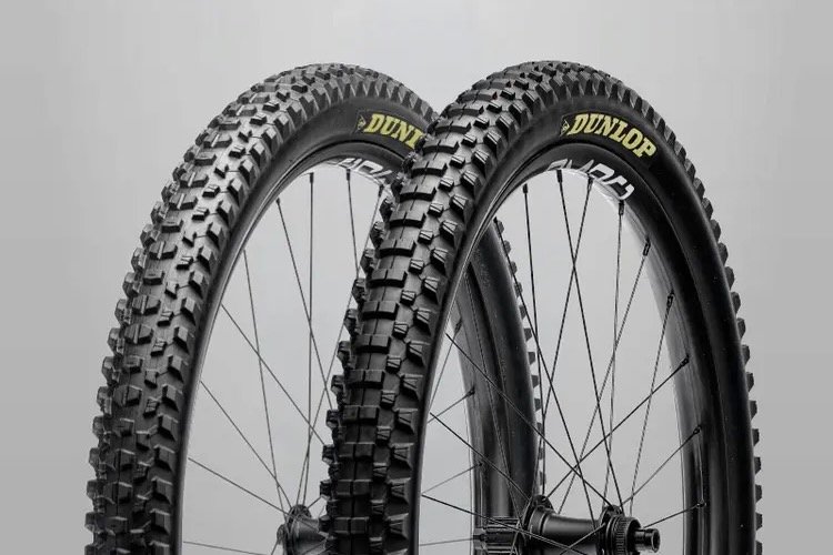 the Front and rear Dunlop Geomax MB34 tires
