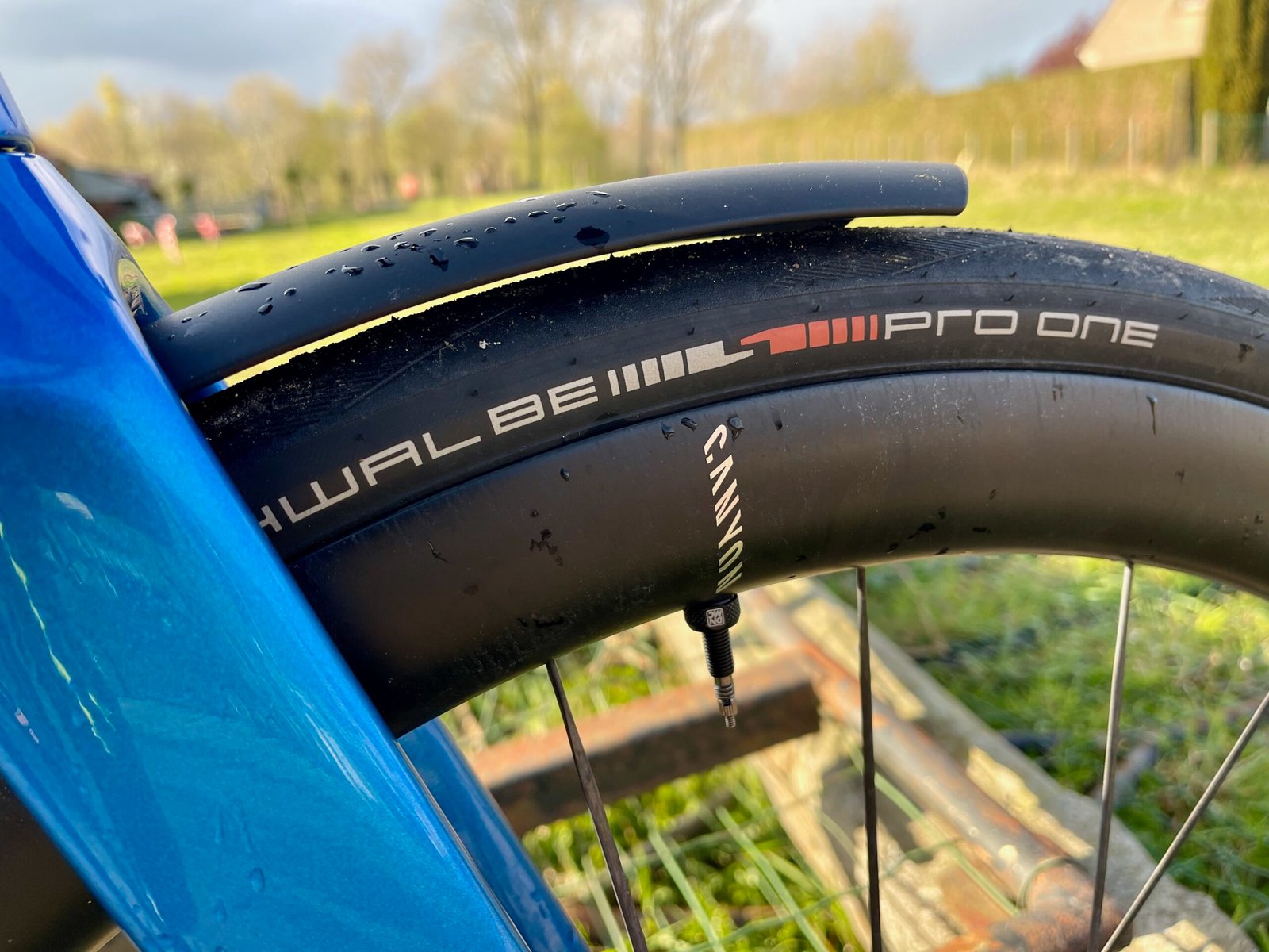 Canyon Endurace CF SLX News wheels